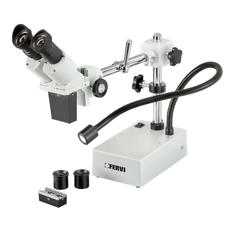 Estereomicroscopio  -  FERVI FERVI microscopio