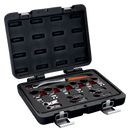 Juego de llaves de estrella ajustables a carraca - BAHCO BAHCO Juego llaves